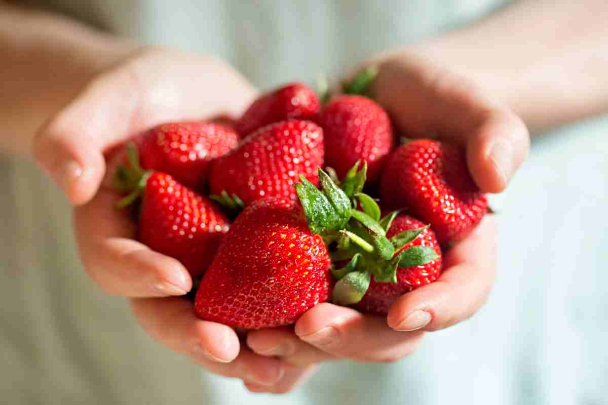 Fragole, 3 semplici trucchi per lavarle e mangiarle in totale sicurezza