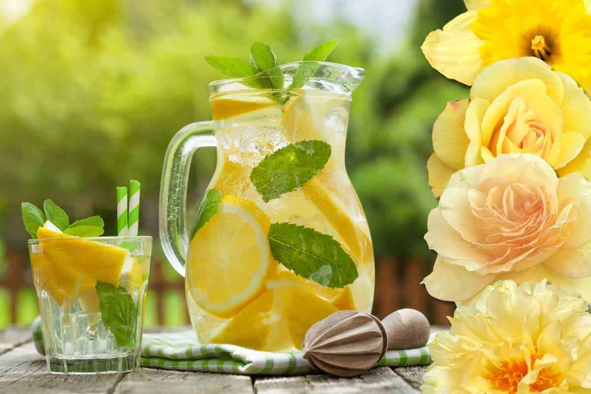 Primavera e limonata, accoppiata vincente: la ricetta infallibile per farla buona come in Sicilia