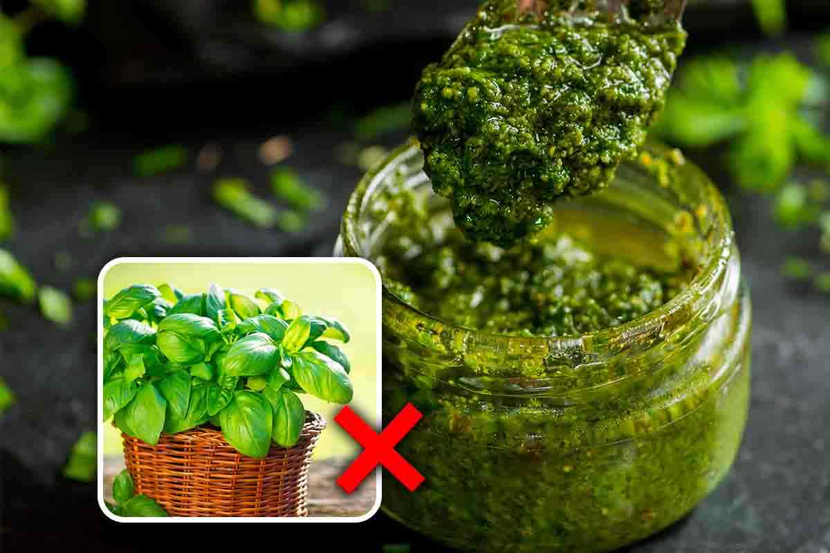 Il pesto sfizioso che sbanca in tavola: non é di basilico, costa pochissimo ed é perfetto anche per condire i crostini