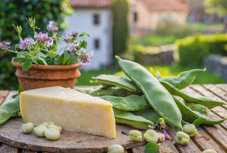 perché il 1° maggio si mangiano fave e pecorino