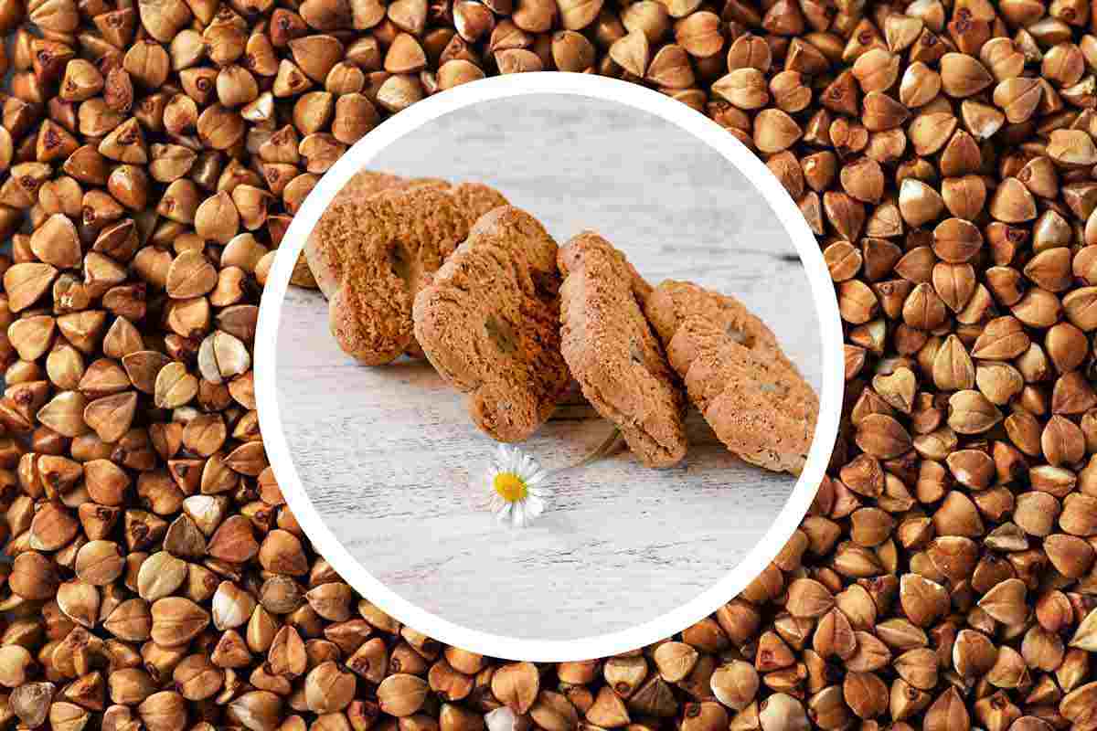 allarme alimentare biscotti grano saraceno