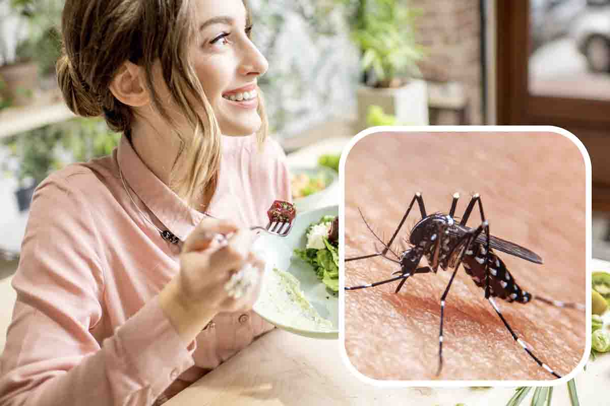 alimenti che attirano le zanzare