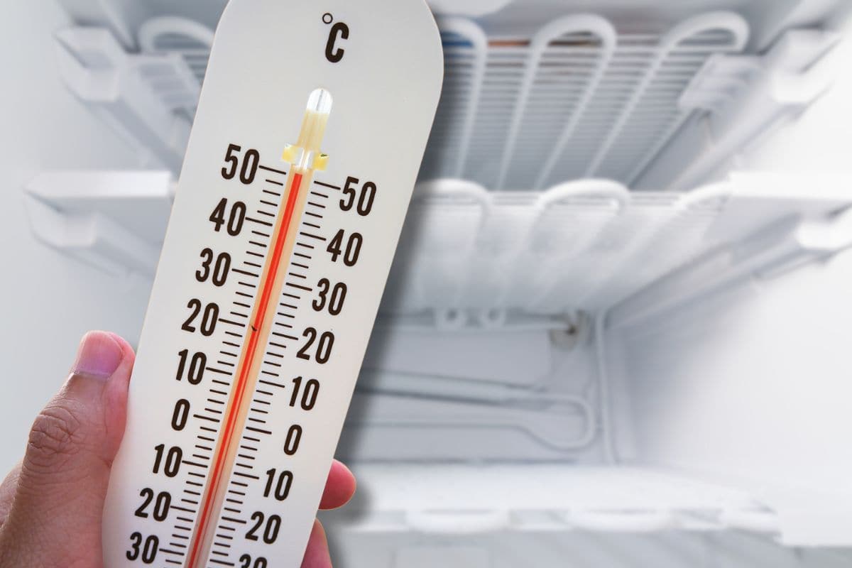 Se il freezer é pieno di ghiaccio, agisci subito: se aspetti l’arrivo del caldo avrai una brutta sorpresa a fine mese