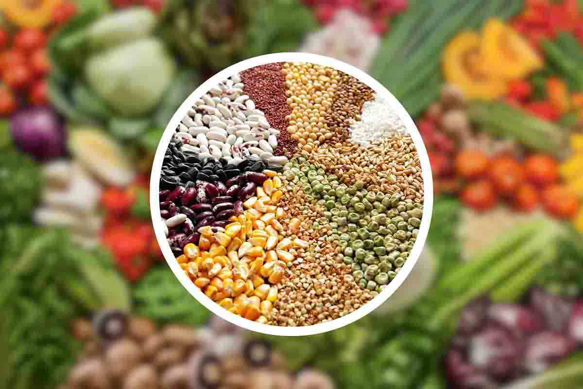 It is not a vegetable, but a seasonal legume: few know it, but it satisfies and cares for the health of the intestine and heart like few foods can do