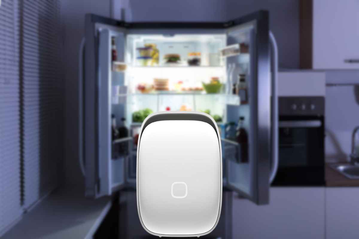 Arriva Shelfy, il dispositivo da mettere in frigo per far durare di più gli alimenti