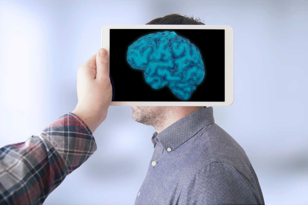 Modello di cervello