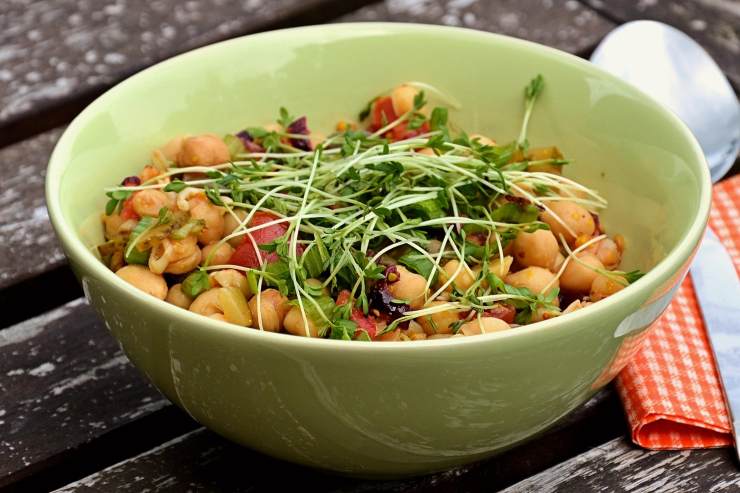 insalata di verdure e ceci 