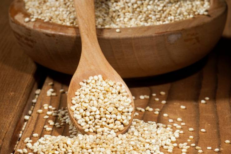 quinoa