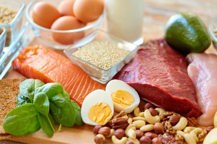 alimenti proteici
