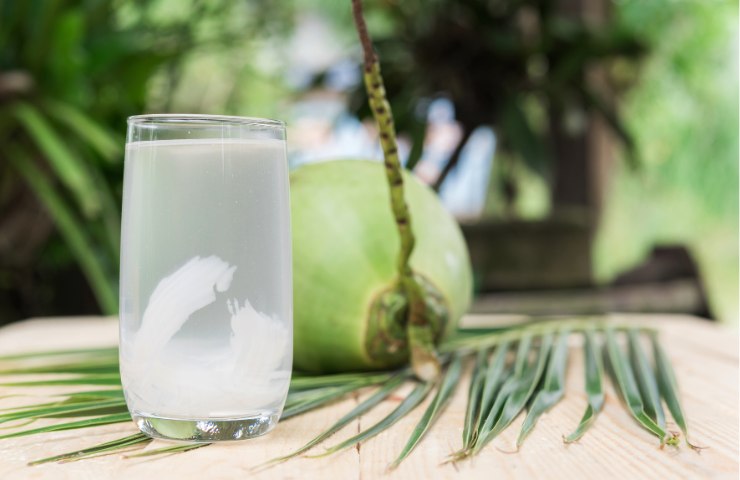 Cocco ed acqua di cocco