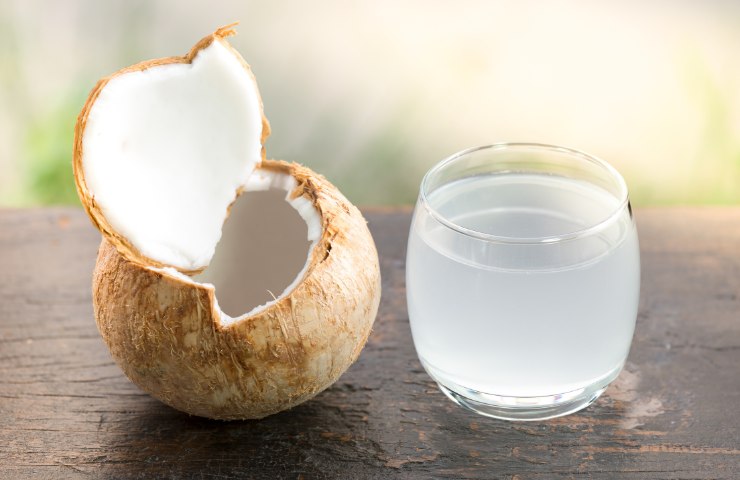 Cocco ed acqua