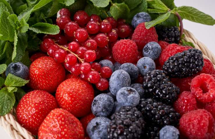 Frutti di bosco