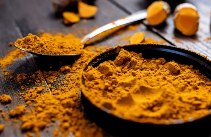 Curcuma