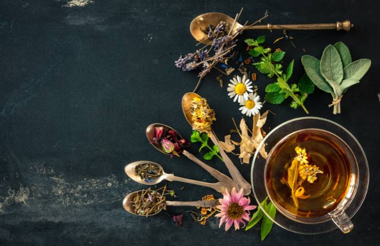 Ingredienti per tisana