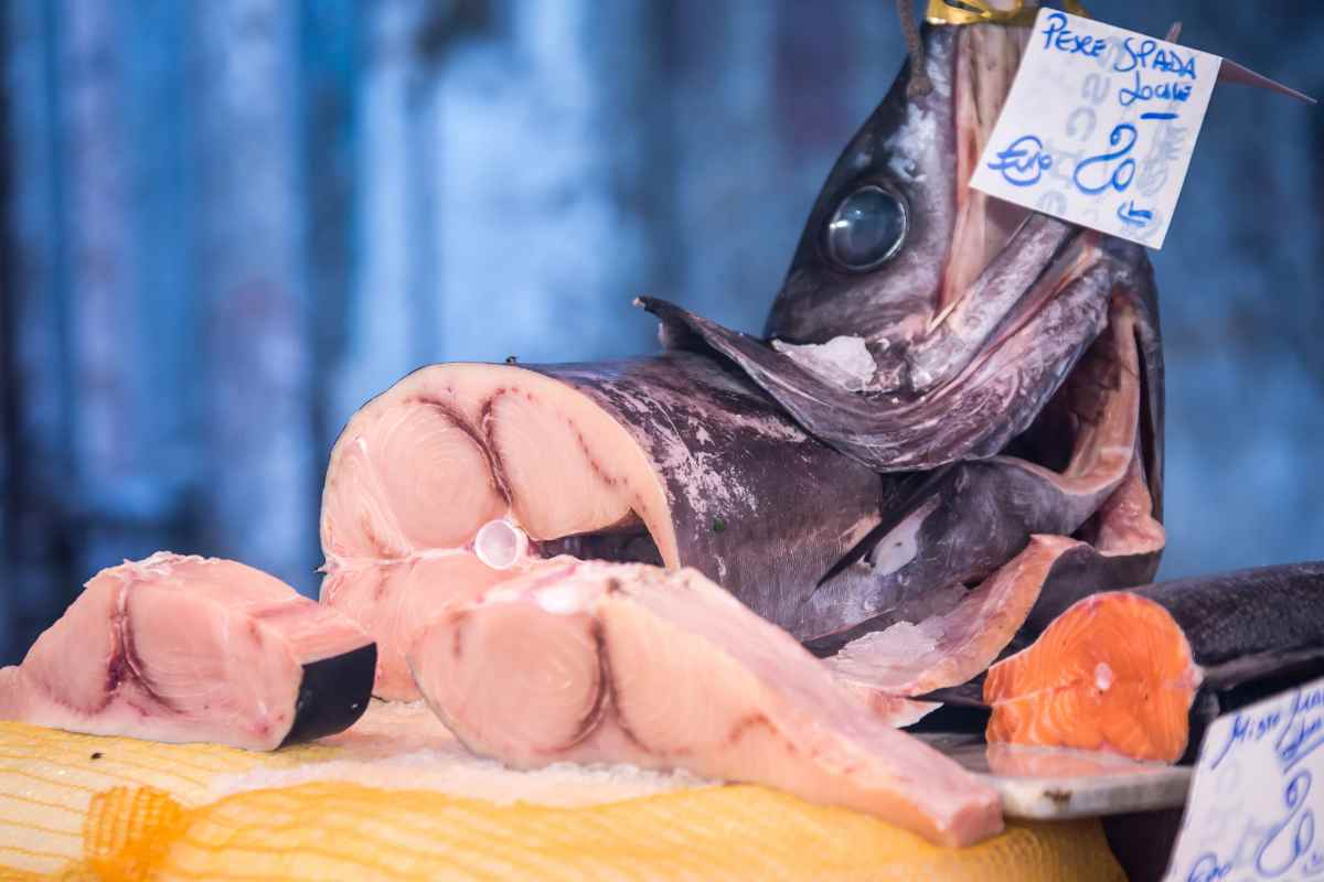 Pesce spada