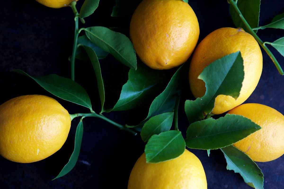 Limoni