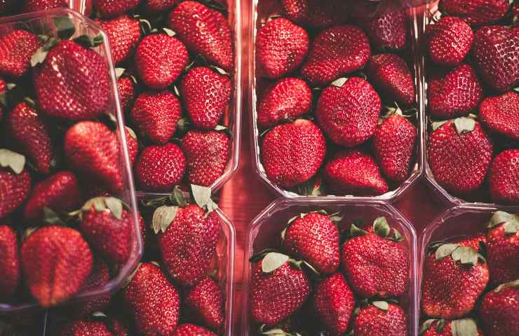 Fragole in vaschette