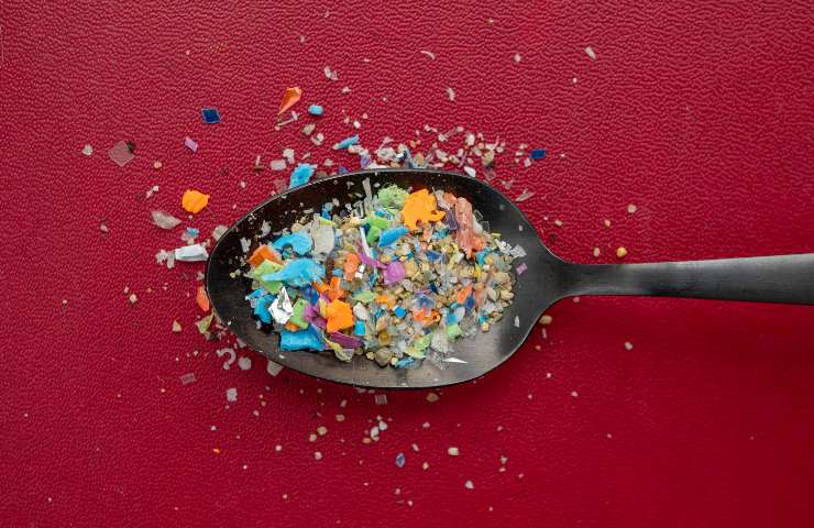 Microplastiche in cucchiaio