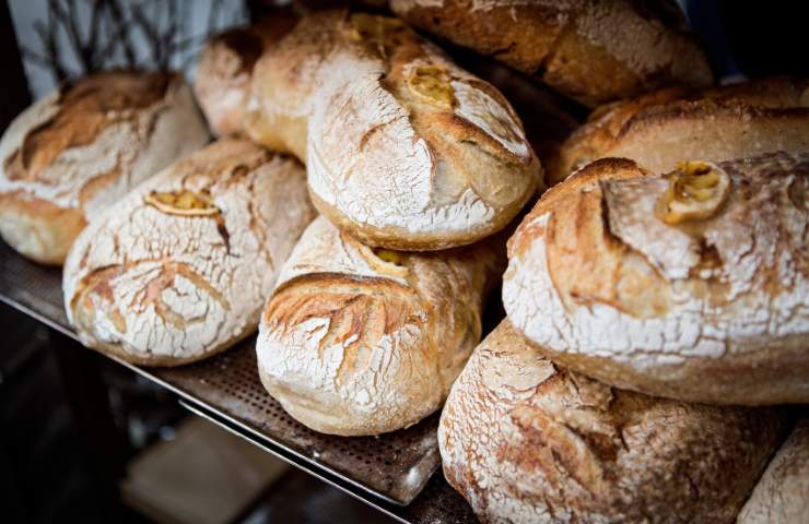 Pane