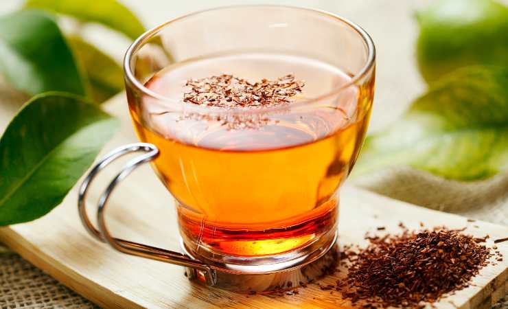 rooibos