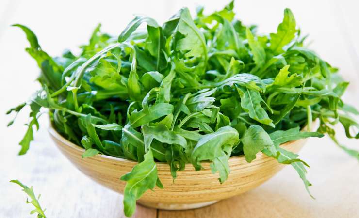 scodella di rucola