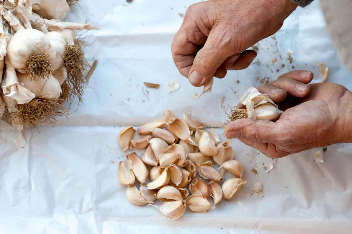 pulire l'aglio