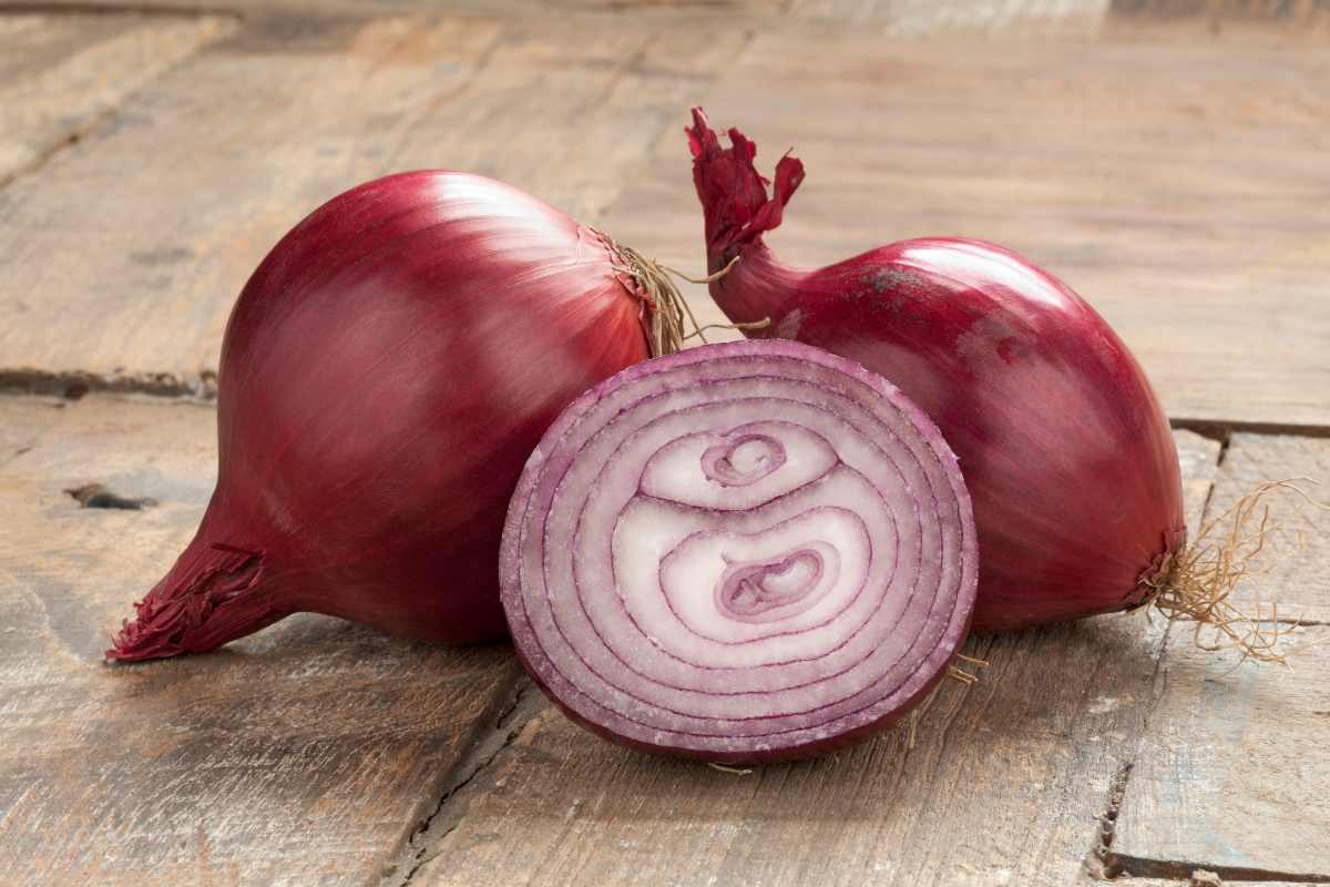 cipolle rosse