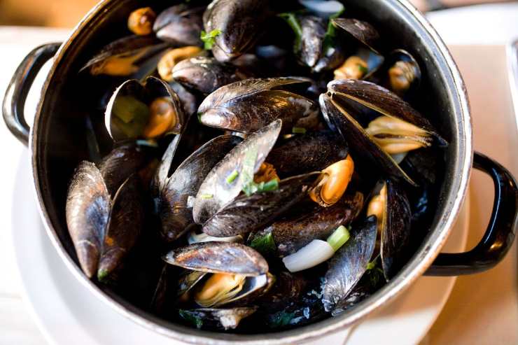 cozze in una pentola
