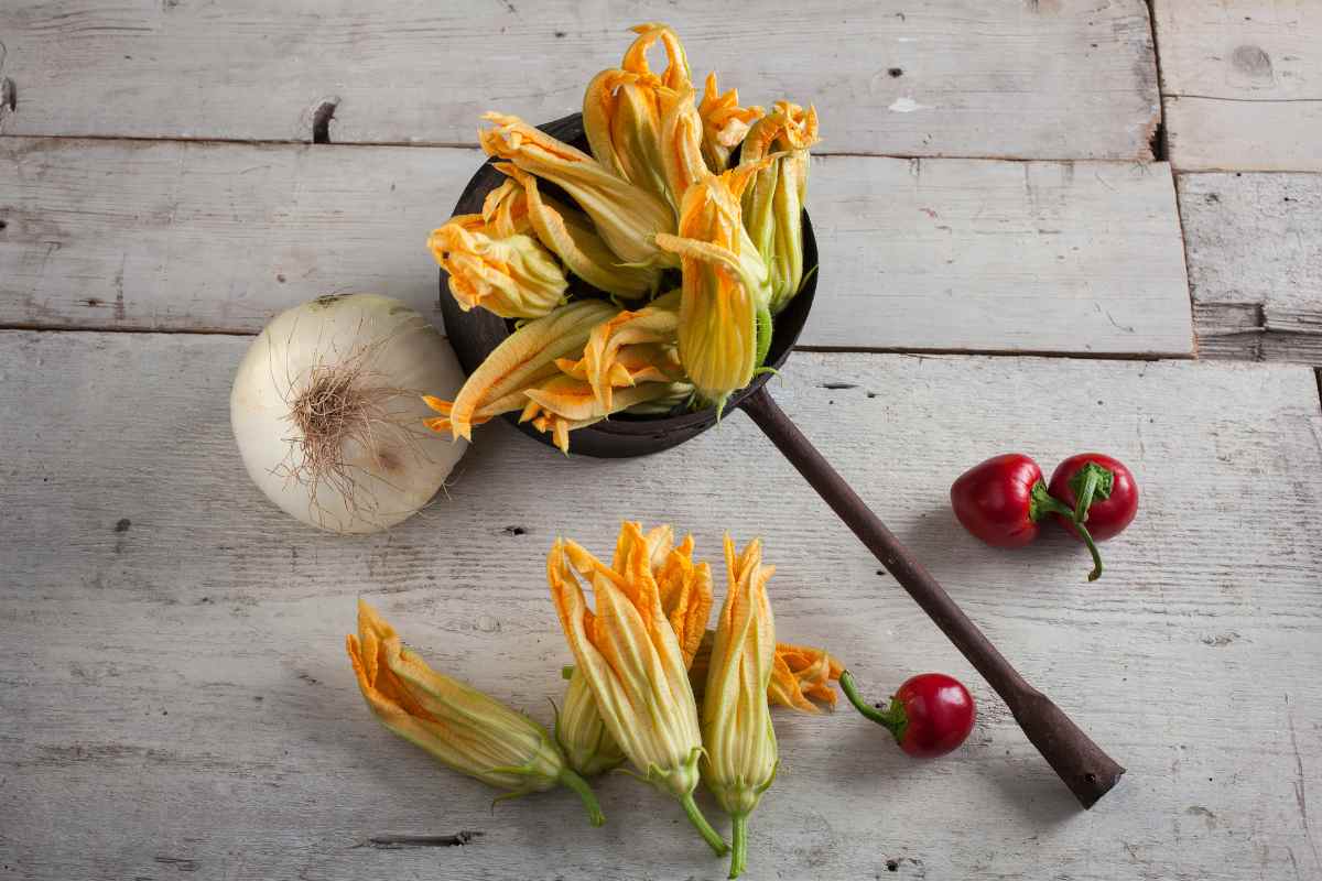 fiori di zucca