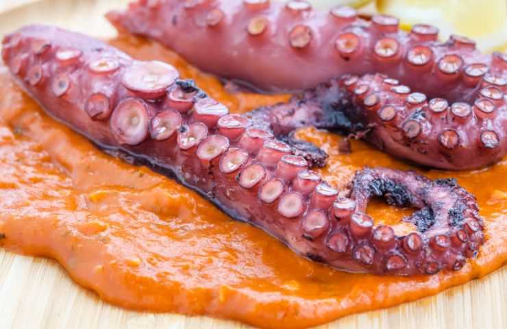 Polpo alla calabrese pronto 