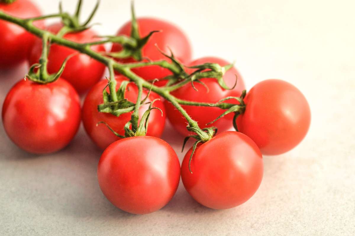 pomodori