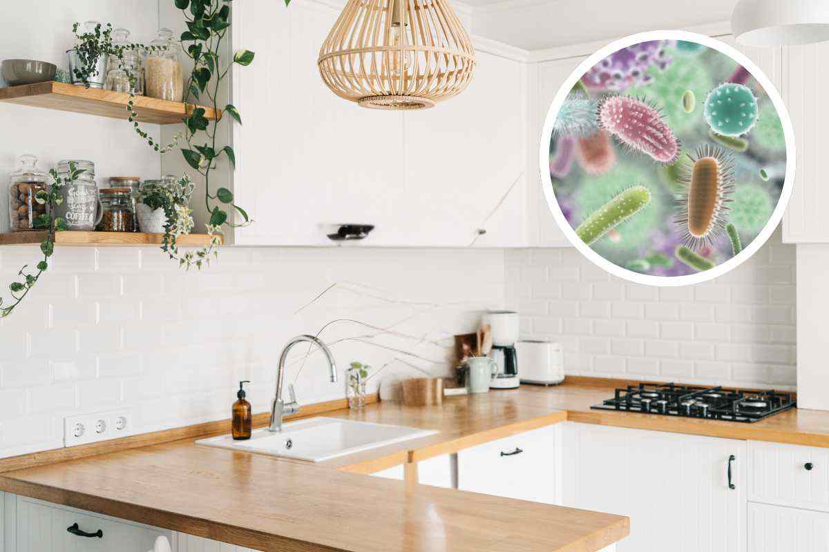 cucina batteri