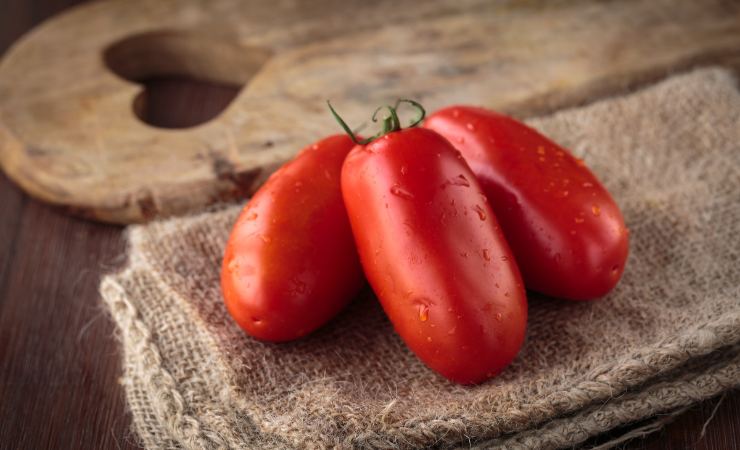pomodori San Marzano