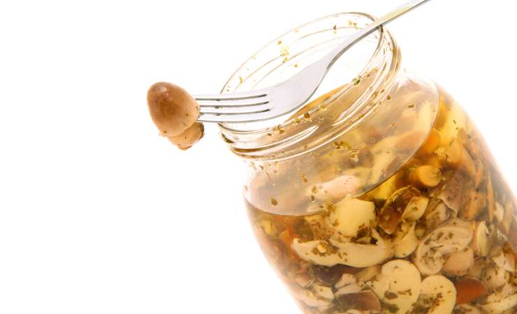 forchetta funghi sott'olio 