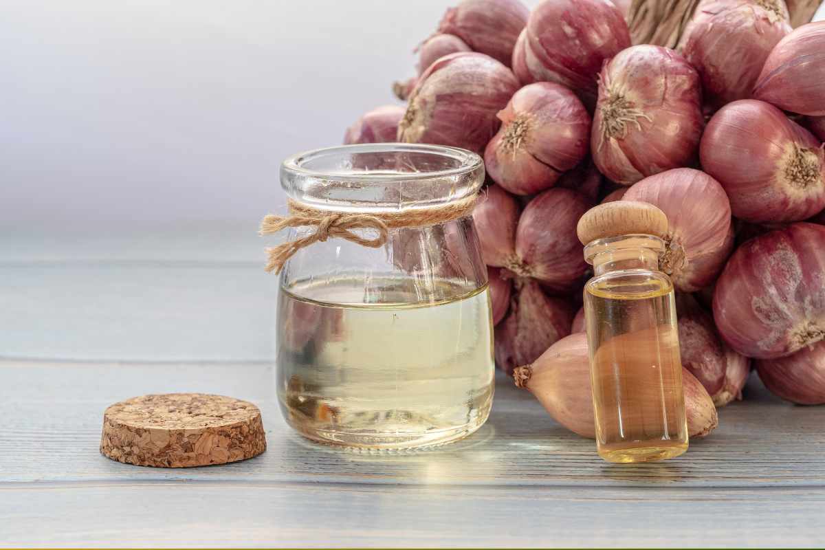 olio di cipolle