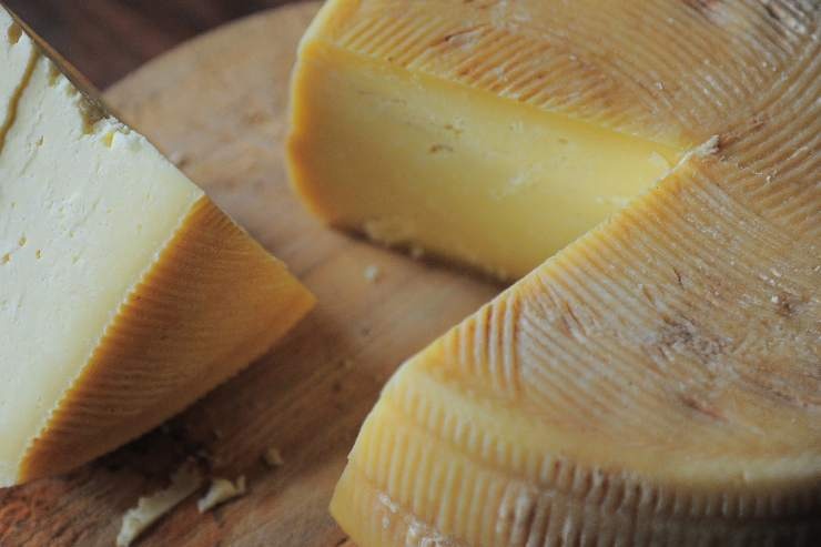 formaggio