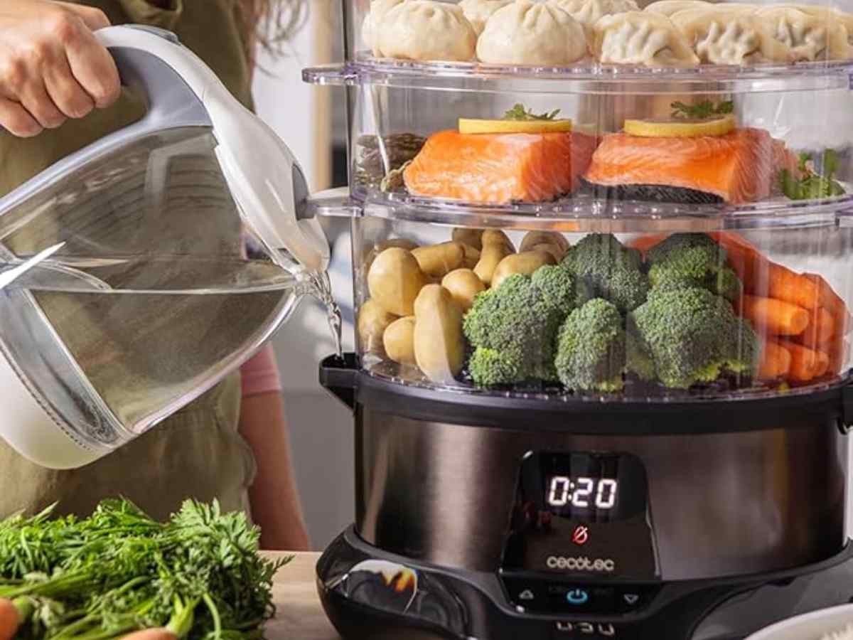 vaporiera cecotec