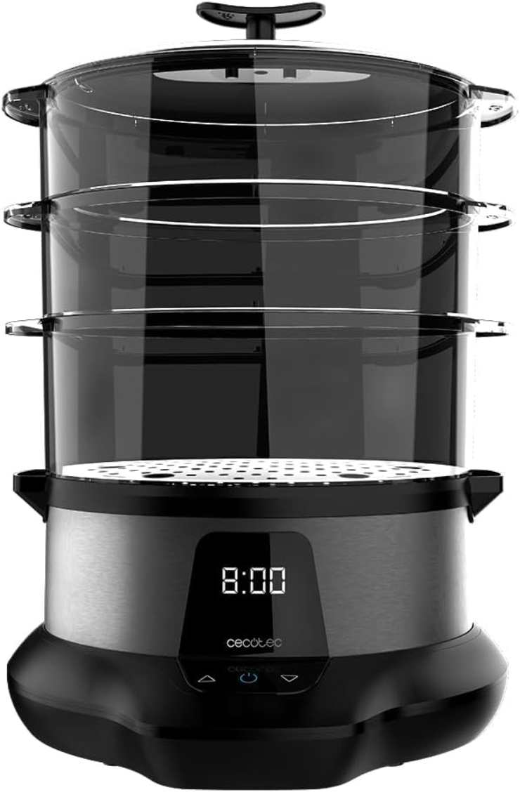 vaporiera elettrica cecotec