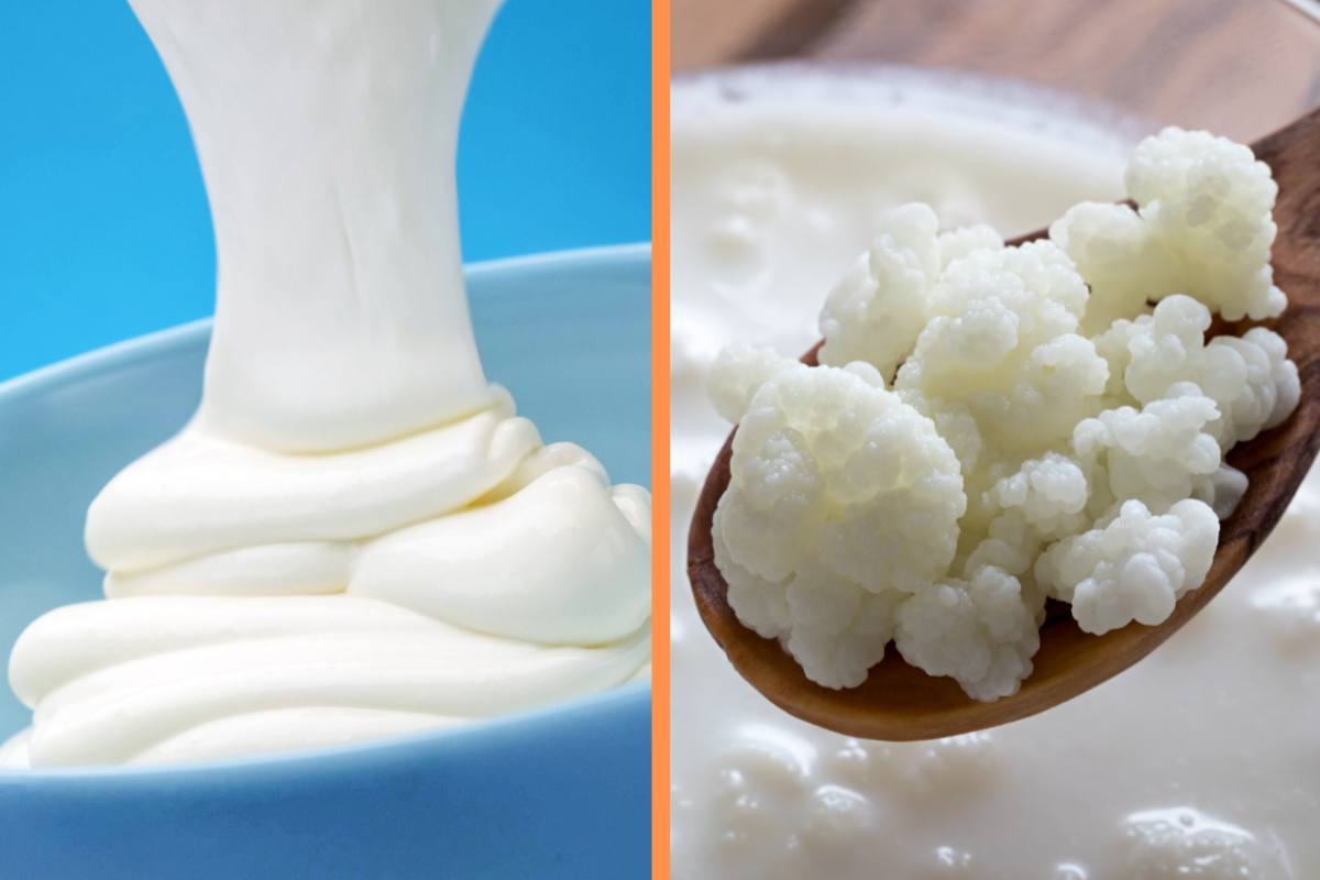 Yogurt greco e kefir