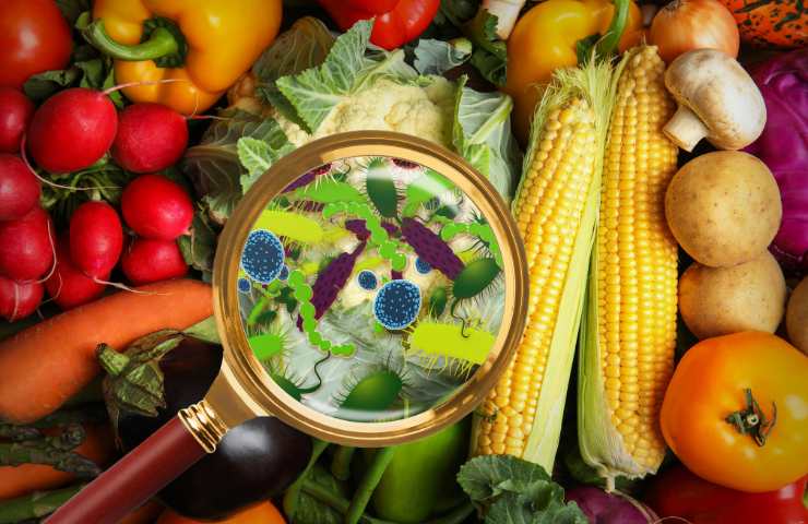 Alimenti facilmente contaminabili