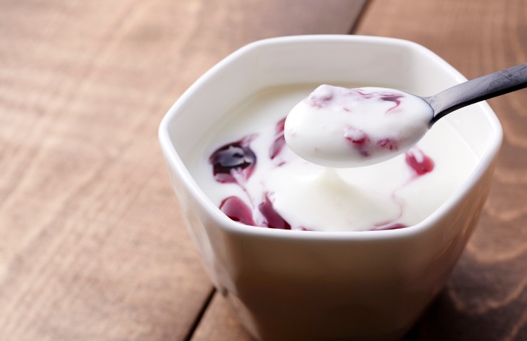 Yogurt magro