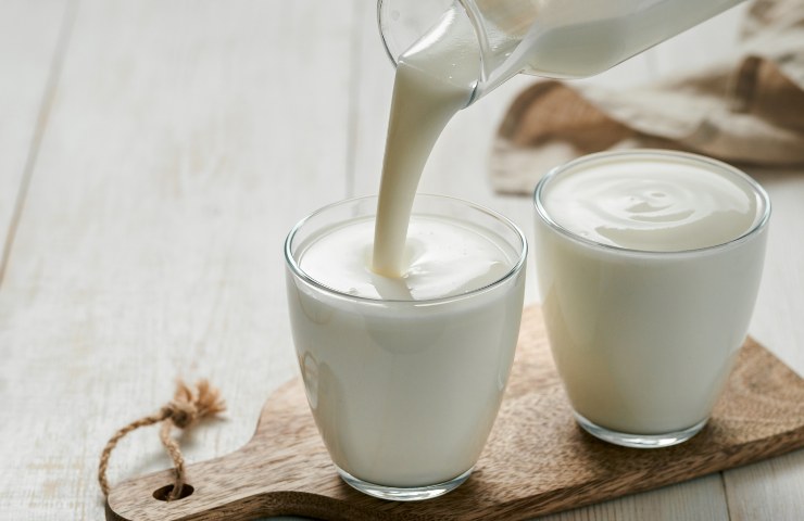 Yogurt greco