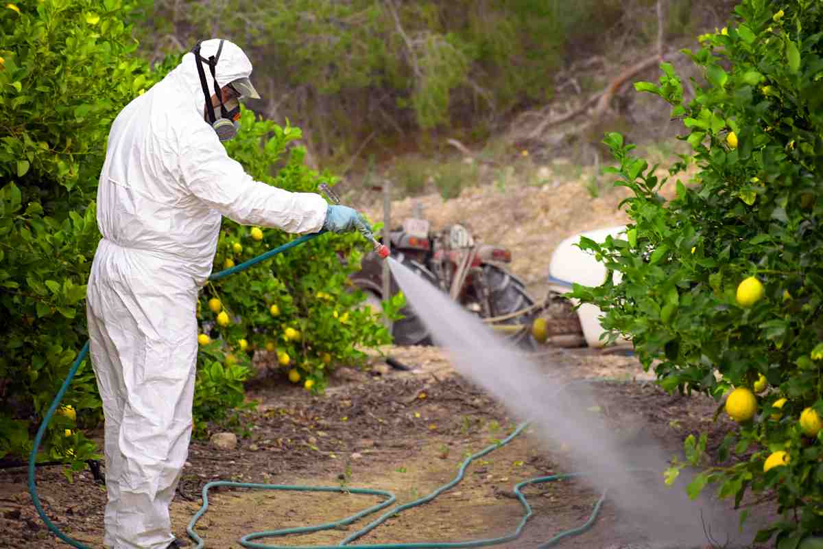 Un uomo che cosparge pesticidi sulle coltivazioni