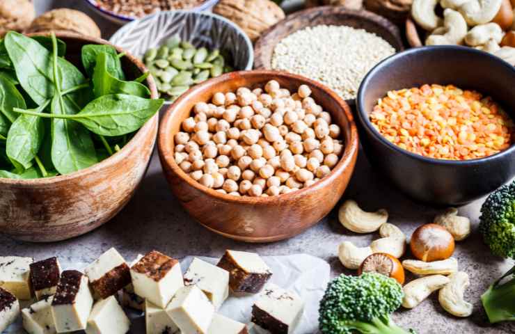 Fonti di proteine vegetali