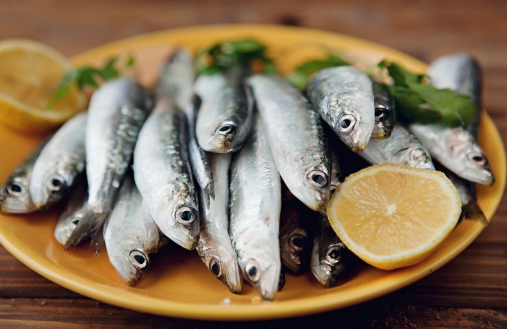 Un piatto di sardine fresche con limone