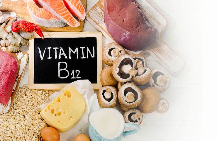 Alimenti ricchi di vitamina B12