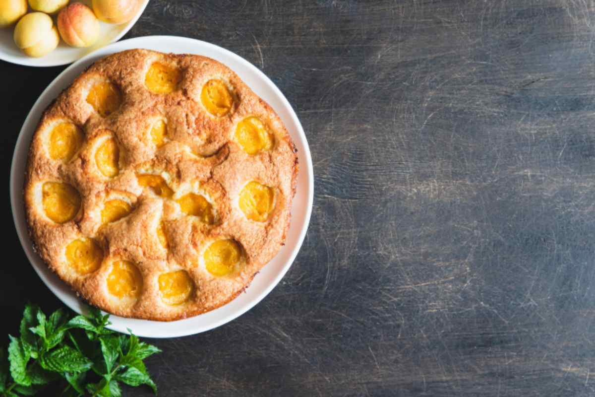 Torta di albicocche con albicocche fresche