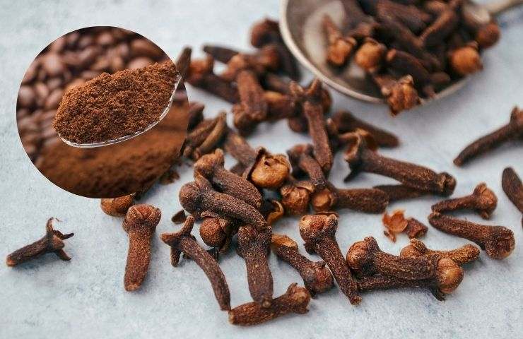 chiodi di garofano e caffè in polvere