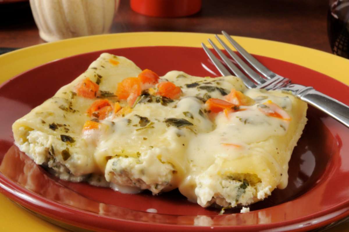 cannelloni in un piatto con crema bianca