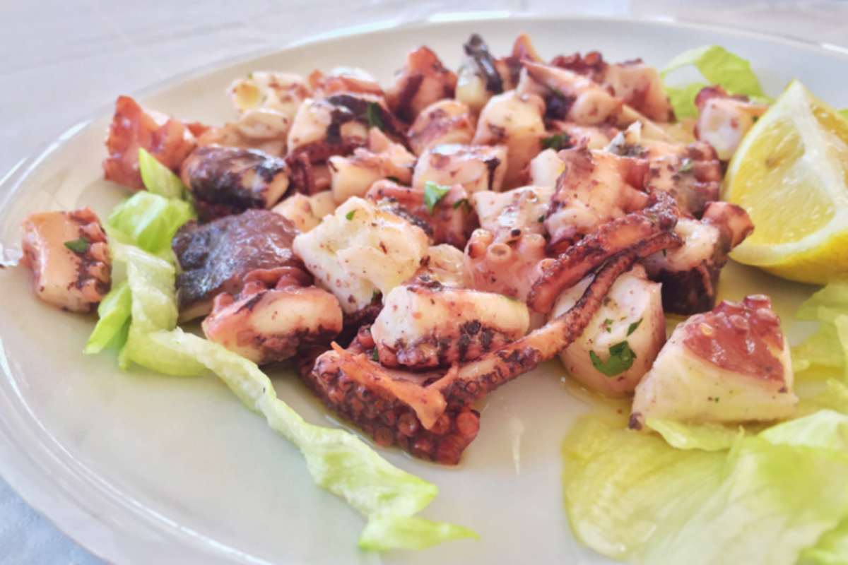 piatto con polpo all'insalata